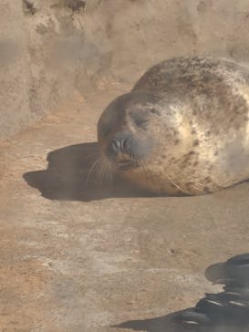 マリンワールド海の中道に投稿された画像（2025/11/24）