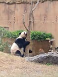 恩賜上野動物園に投稿された画像（2025/11/24）