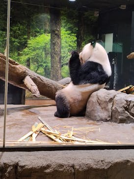 恩賜上野動物園に投稿された画像（2025/11/24）