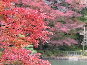 安城産業文化公園デンパークに投稿された画像（2025/11/24）