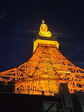 東京タワーに投稿された画像（2025/11/24）