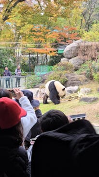 恩賜上野動物園に投稿された画像（2025/11/24）