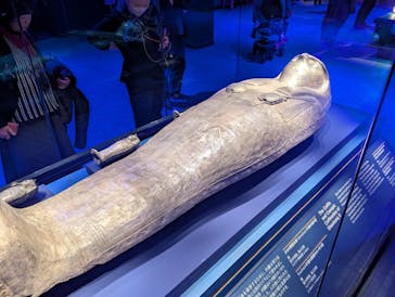 ACN ラムセス大王展 ファラオたちの黄金に投稿された画像（2025/11/24）