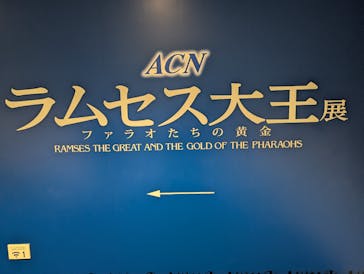 ACN ラムセス大王展 ファラオたちの黄金に投稿された画像（2025/11/24）