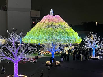 東京メガイルミに投稿された画像（2025/11/24）