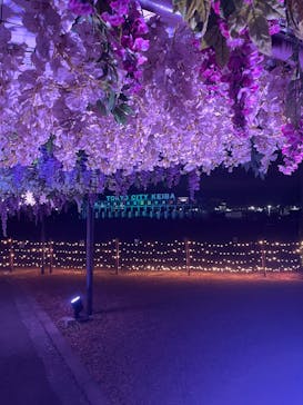 東京メガイルミに投稿された画像（2025/11/24）