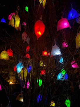 神戸六甲ミーツ・アート2025 beyondに投稿された画像（2025/11/24）