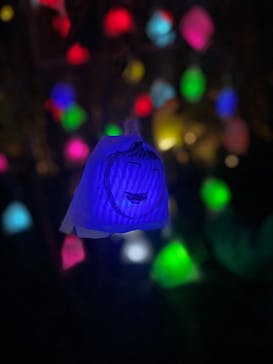 神戸六甲ミーツ・アート2025 beyondに投稿された画像（2025/11/24）