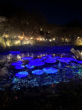 神戸六甲ミーツ・アート2025 beyondに投稿された画像（2025/11/24）