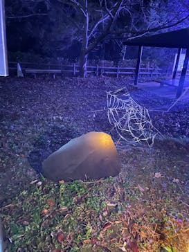 ニジゲンノモリに投稿された画像（2025/11/24）