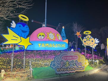 さがみ湖MORI MORIに投稿された画像（2025/11/24）