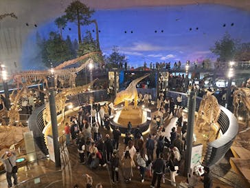 福井県立恐竜博物館に投稿された画像（2025/11/24）