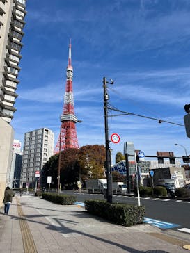 東京タワーに投稿された画像（2025/11/24）