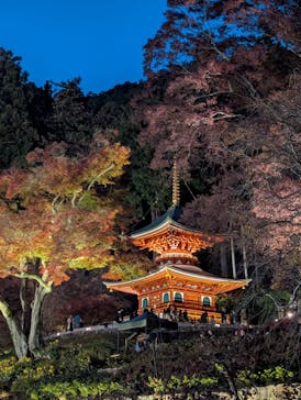 勝尾寺に投稿された画像（2025/11/24）