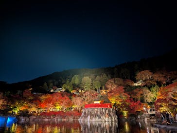 勝尾寺に投稿された画像（2025/11/24）