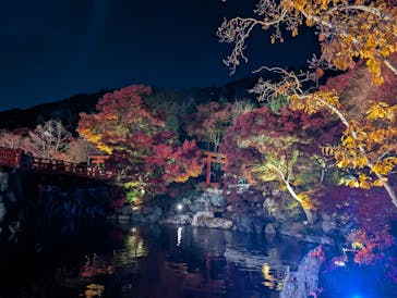 勝尾寺に投稿された画像（2025/11/24）