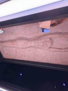 ACN ラムセス大王展 ファラオたちの黄金に投稿された画像（2025/11/24）