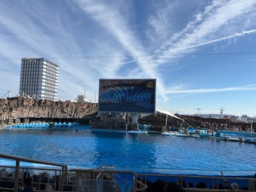 名古屋港水族館に投稿された画像（2025/11/24）