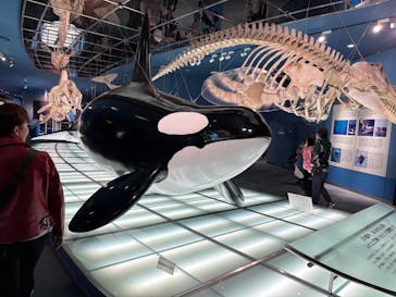 名古屋港水族館に投稿された画像（2025/11/24）