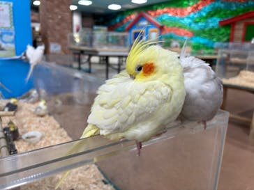 いきもの探検隊上尾に投稿された画像（2025/11/24）