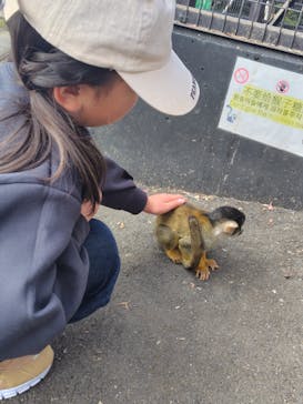 伊豆シャボテン動物公園に投稿された画像（2025/11/24）