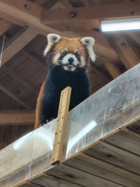 伊豆シャボテン動物公園に投稿された画像（2025/11/24）