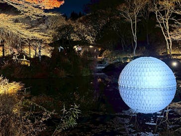 神戸六甲ミーツ・アート2025 beyondに投稿された画像（2025/11/24）