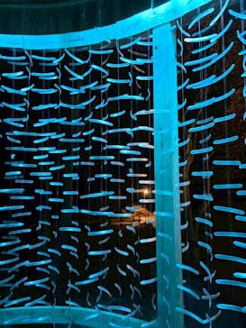 神戸六甲ミーツ・アート2025 beyondに投稿された画像（2025/11/24）