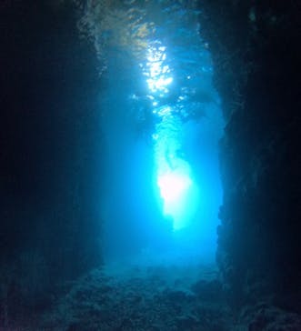 武藤潜水に投稿された画像（2025/11/24）