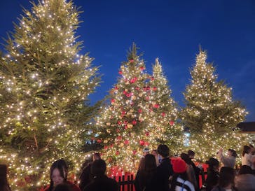 Christmas Market in 横浜赤レンガ倉庫 2025に投稿された画像（2025/11/24）