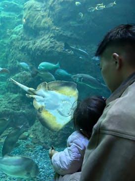 新江ノ島水族館に投稿された画像（2025/11/24）