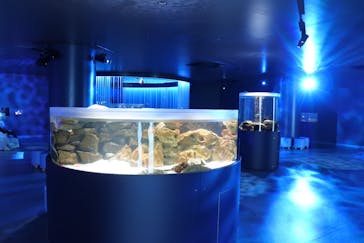 広島もとまち水族館に投稿された画像（2025/11/24）