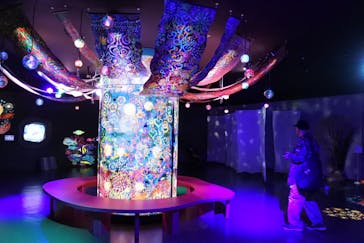 広島もとまち水族館に投稿された画像（2025/11/24）