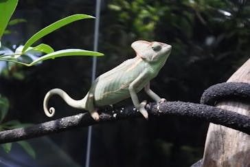広島もとまち水族館に投稿された画像（2025/11/24）