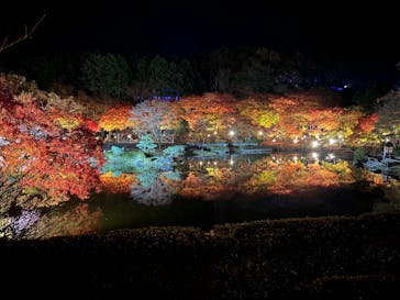 修善寺虹の郷に投稿された画像（2025/11/24）