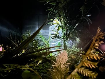 Mozuミニチュア展　ようこそ、ちいさな世界へ。in 銀座（銀座三越）に投稿された画像（2025/11/24）