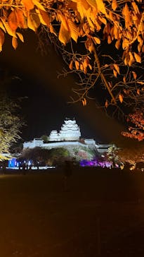 Himeji Castle of Light『DANDELION PROJECT 姫路城×NAKED, INC.』に投稿された画像（2025/11/24）