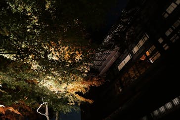 江戸東京たてもの園に投稿された画像（2025/11/24）