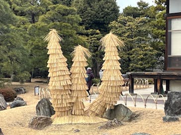 京都市観光協会（催行運営：株式会社らくたび）に投稿された画像（2025/11/24）