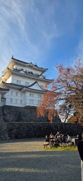 小田原城に投稿された画像（2025/11/24）