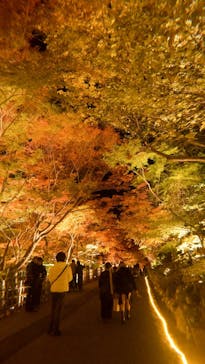 名古屋市東山動植物園に投稿された画像（2025/11/24）