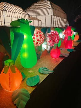 名古屋市東山動植物園に投稿された画像（2025/11/24）