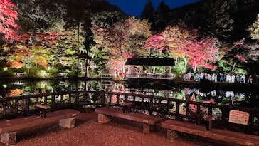名古屋市東山動植物園に投稿された画像（2025/11/24）
