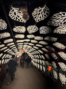 伊豆高原グランイルミに投稿された画像（2025/11/24）