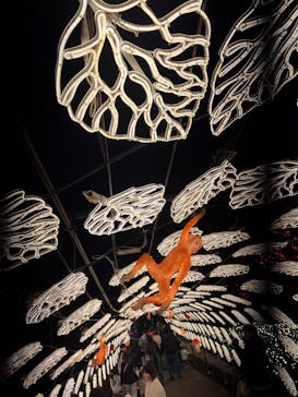 伊豆高原グランイルミに投稿された画像（2025/11/24）