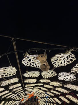 伊豆高原グランイルミに投稿された画像（2025/11/24）