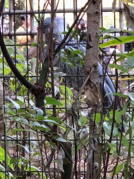 恩賜上野動物園に投稿された画像（2025/11/24）