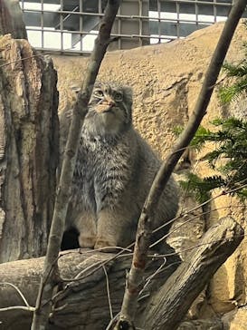 那須どうぶつ王国に投稿された画像（2025/11/24）