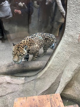 那須どうぶつ王国に投稿された画像（2025/11/24）