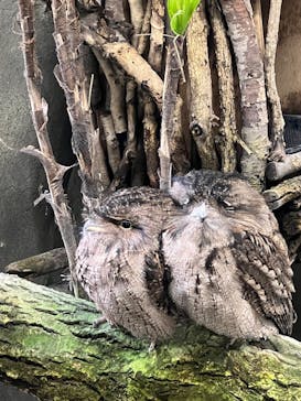 那須どうぶつ王国に投稿された画像（2025/11/24）